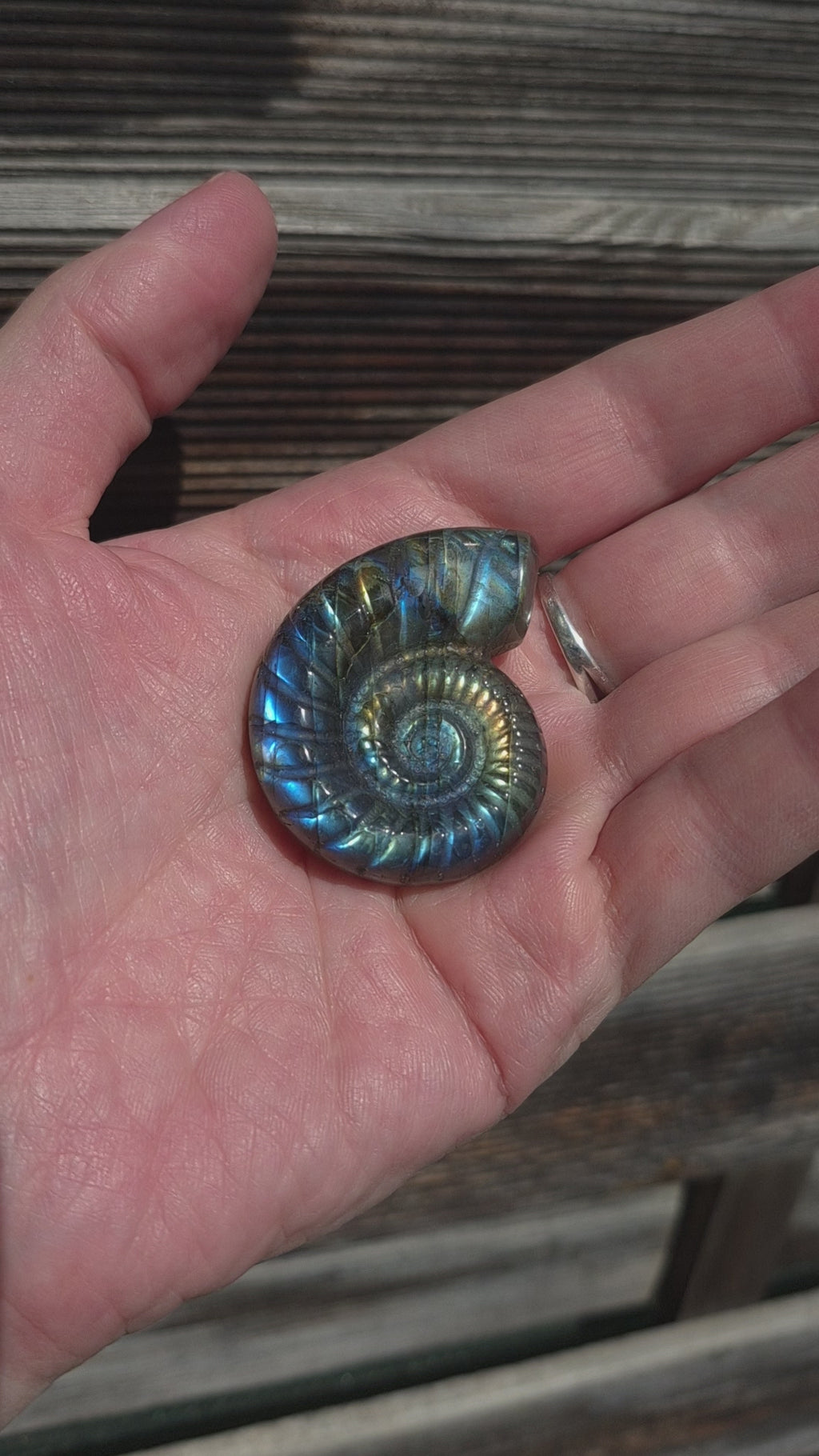 Figurine Labradorite Naturelle AA+ – Pierre Minérale 40 mm